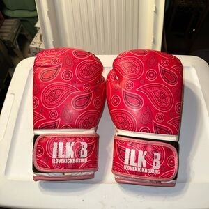Red Kickboxing Gloves (14 oz.)